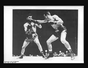 Framed Photograph Of Gustav Scholz Wallpaper