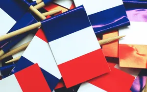 France Flag Sticks Wallpaper