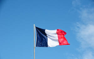 France Flag Waving On Wind Wallpaper