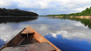 French Guiana Blue Water Wallpaper