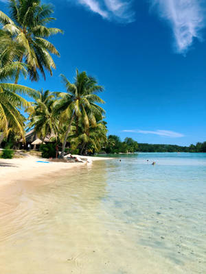 French Polynesia White Sand Beach Wallpaper