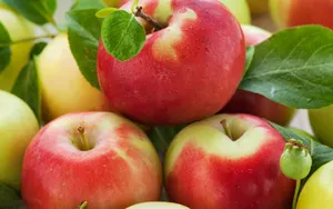 Fresh Apple Pile Wallpaper