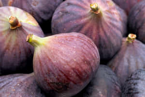 Fresh Figs Closeup Wallpaper