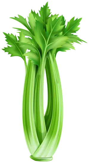 Fresh, Green Celery Stalks Growing In Marshland Wallpaper
