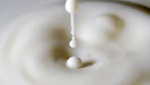 Fresh Milk Splashing With Ripples Effect Wallpaper