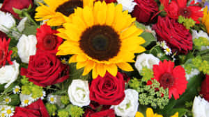 Fresh Sunflowers And Red White Roses Wallpaper