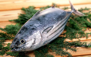 Fresh Tuna Fish On A Wooden Surface Wallpaper