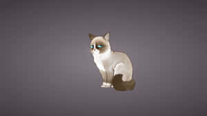 Frowning Grumpy Cat Wallpaper