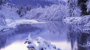 Frozen Lake Nature Scenery Wallpaper
