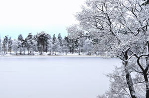 Frozen Lake Winter Scenery Wallpaper