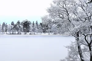 Frozen Lake Winter Scenery Wallpaper