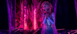 Frozen Pink Ice Wallpaper