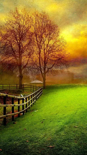 Full Hd Grass Field Under Sunset Android Wallpaper