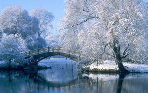 Full Hd Tablet Winter Bridge Wallpaper