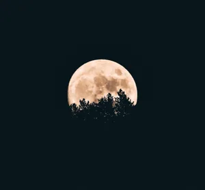 Full Moon Fantasy Wallpaper
