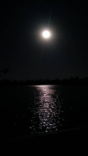 Full Moon On Black Iphone 6 Plus Wallpaper
