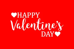 Fun And Loving Happy Valentines Day Hd Wallpaper Wallpaper