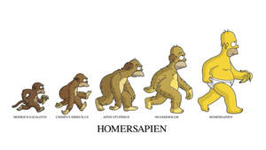 Funny Cartoon Evolution With Homer Simpson Wallpaper