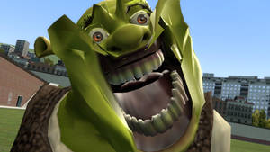 Funny Face Of Shrek Wallpaper