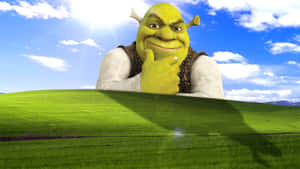 Funny Shrek On Microsoft Windows Bliss Wallpaper