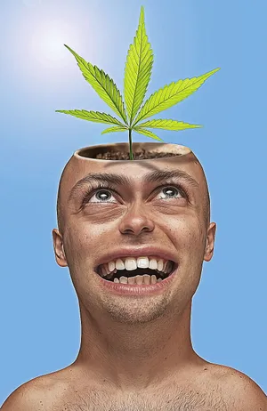 Funny Weed From Head Wallpaper