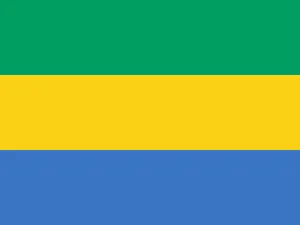 Gabon Flag Vector Wallpaper