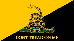 Gadsden Flag Rattle Snake Logo Wallpaper