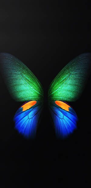Galaxy S10 Plus Butterfly Wings Wallpaper