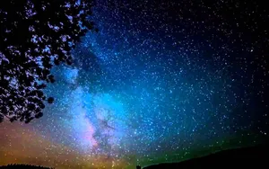 Galaxy Sky Tree Leaves Wallpaper