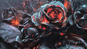Garden Of Roses Wallpaper