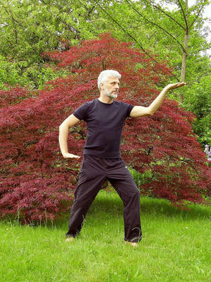Garden Tai Chi Wallpaper