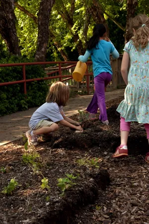 Gardening Activity For Kids Wallpaper