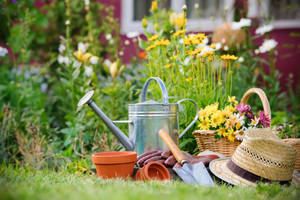Gardening Tools And Flowers In Backyard Wallpaper