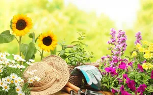 Gardening Tools And Flowers Photography Wallpaper