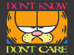 Garfield I Don't Care Wallpaper