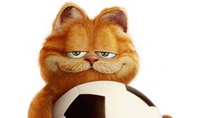 Garfield The Cat With Football Wallpaper