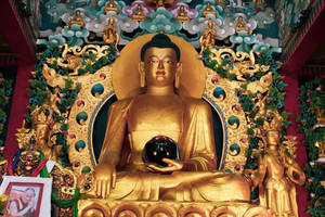 Gautam Buddha Gold Altar Statue Wallpaper
