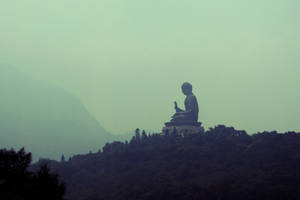 Gautam Buddha Mountain Statue Wallpaper