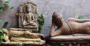 Gautam Buddha Sculpted Stone Statue Wallpaper