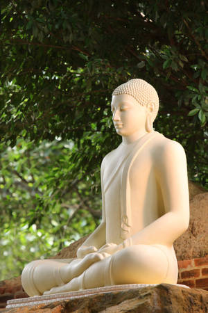 Gautam Buddha White Marble Statue Wallpaper