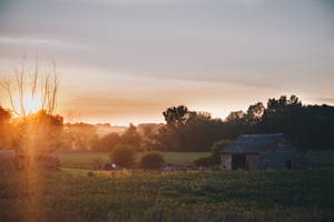 Gentle Farm Desktop Wallpaper