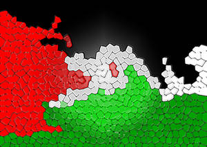 Geometric Palestine Flag Wallpaper