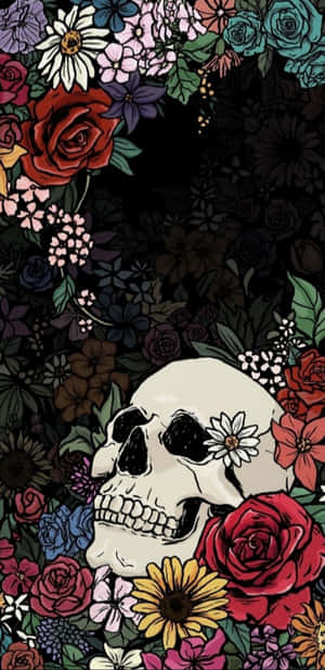 Get A Head Start With Skull Phone Wallpaper