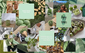 Get Creative With This Sage Green Laptop Wallpaper