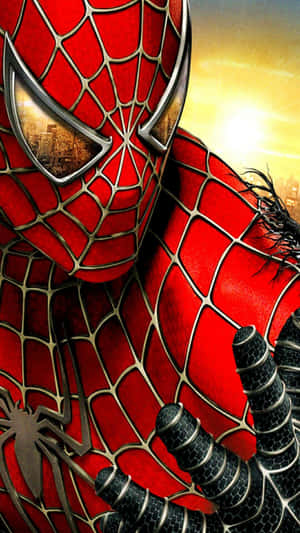Get Into The Cool Spider-man Vibe Wallpaper