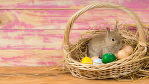 Get Ready For A Hoppin' Good Time With The Easter Bunny! Wallpaper