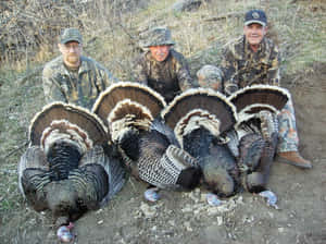 Get Ready For The Perfect Turkey Hunt Wallpaper