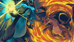 Get Ready To Rumble - Mega Charizard X And Y Wallpaper