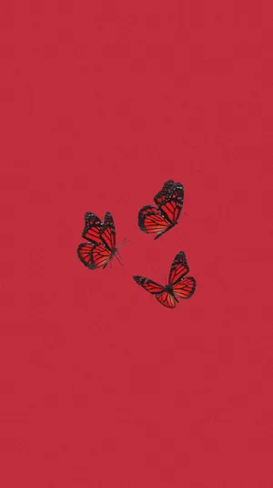 Get The Latest Cute Red Iphone And Stand Out From The Crowd! Wallpaper