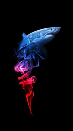 Get The Latest Iphone With A Shark Inspired Design! Wallpaper
